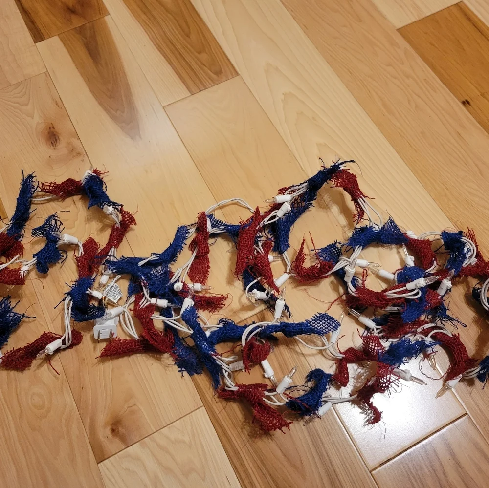 Plug in lights with red and blue garland